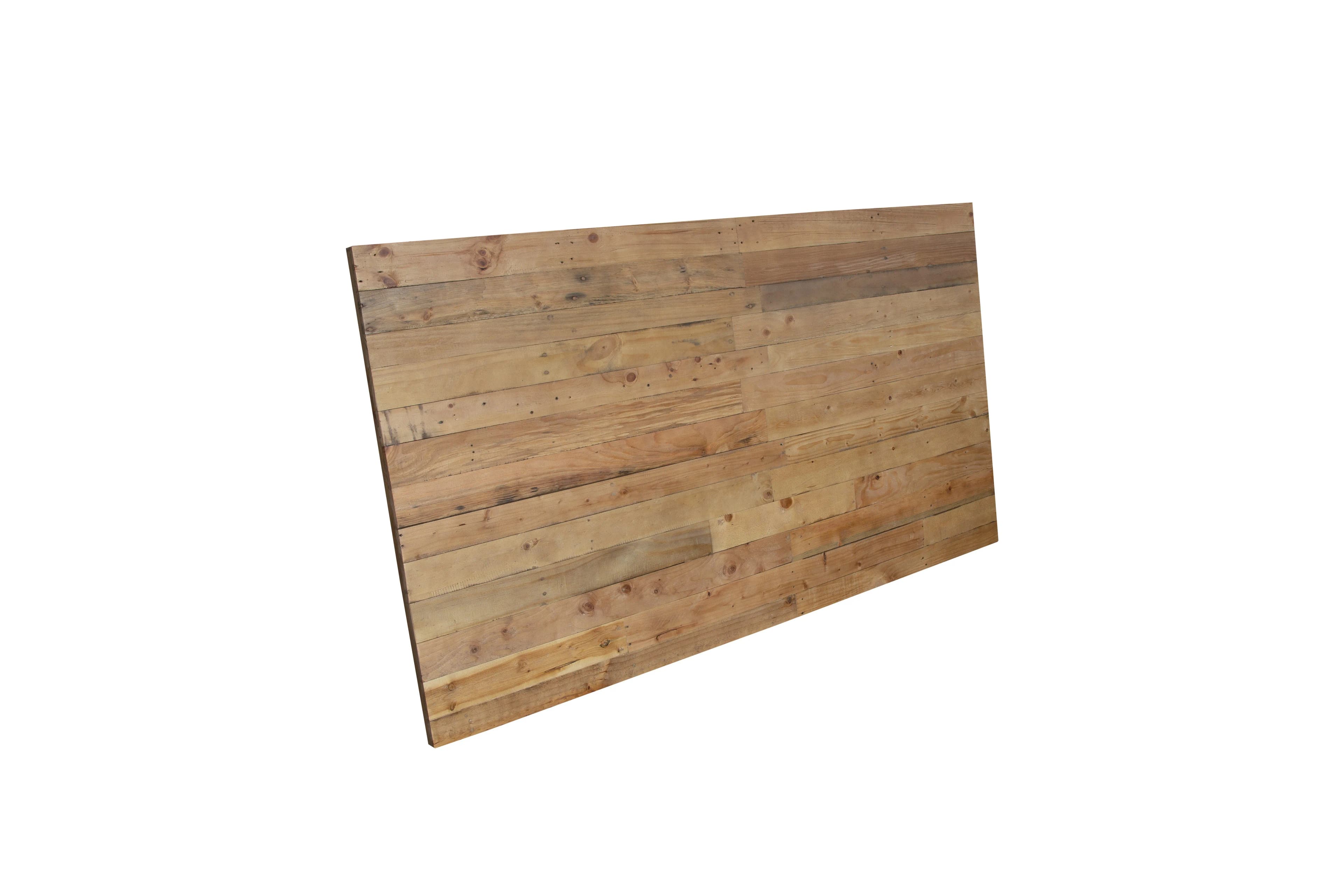 Tischplatte 200x100 cm